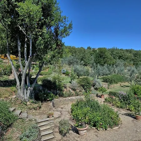 Bigiolo A Melazzano *
